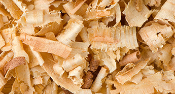 山東豐源生物質發(fā)電股份公司